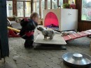 Taining und Lob * 480 x 360 * (31KB)